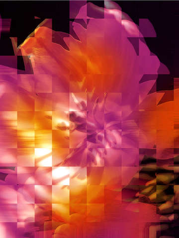 The cubists bouquet