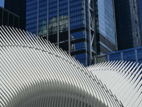 Wings of architecture