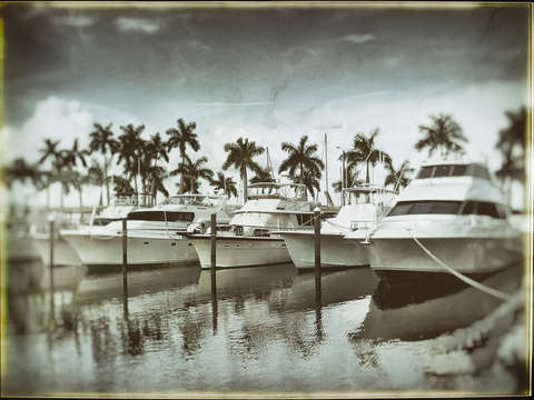 Boats in a marina