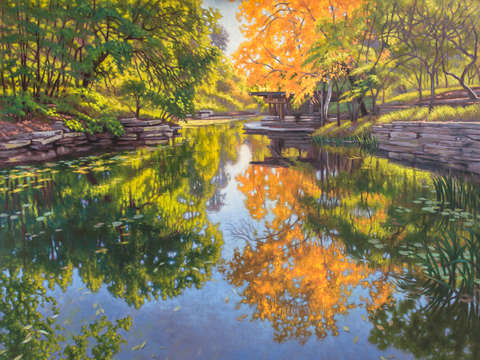 Urban oasis alfred caldwell lily pool