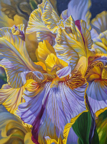 Floralscape2 mauve and yellow irises
