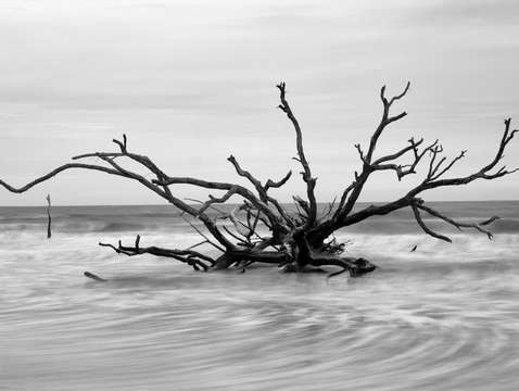 Botany bay 2