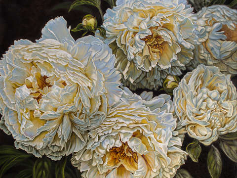 Antique white peonies