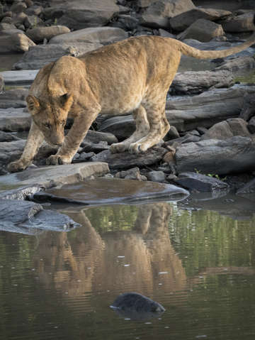 Reflection 9