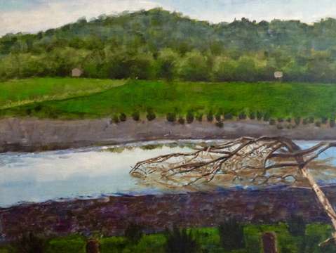 Brandywine wetlands