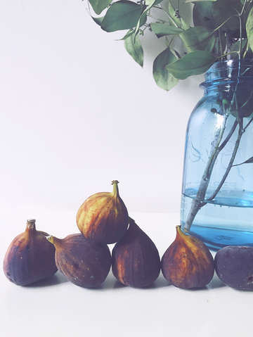Figs 3