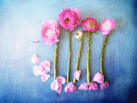 Spring still life