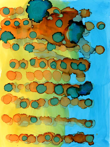 Evolution 5