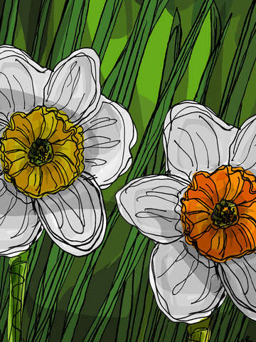 The-yellow-flowers