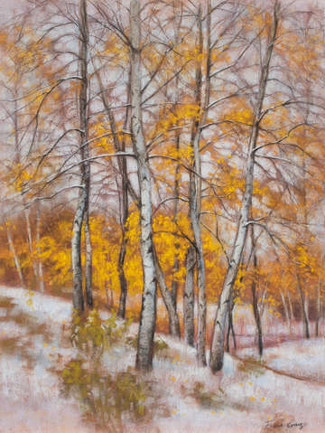 Birches in first snow 3