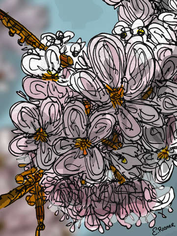 The-white-flowers