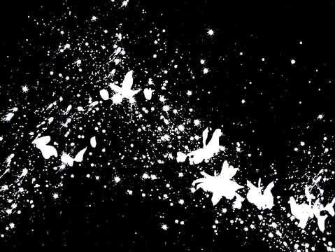 The fluttering of tiny wings