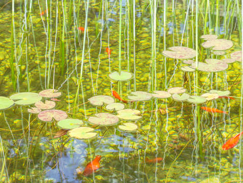 Channeling monet
