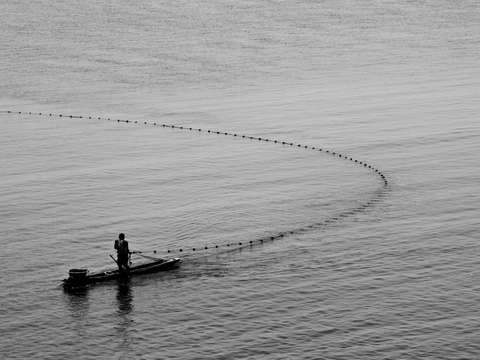Freedom fishing