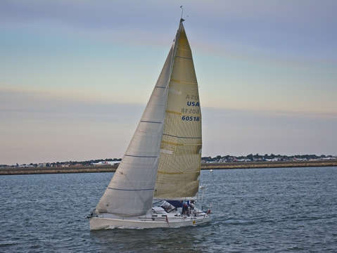 Boston sailing