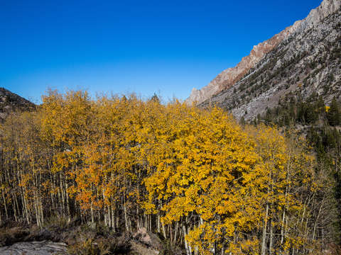 Bishop pass fall
