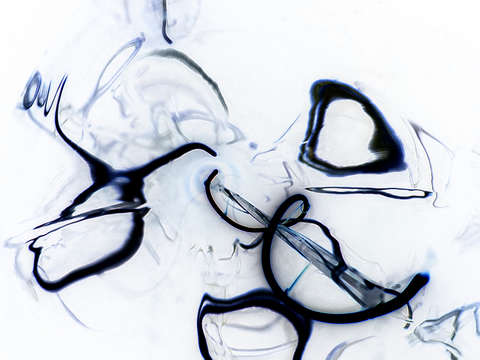 Squiggly 7168