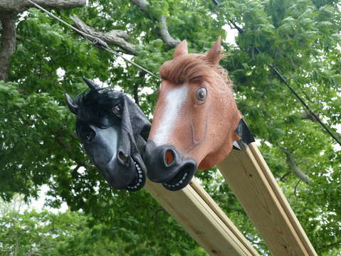 Horse heads