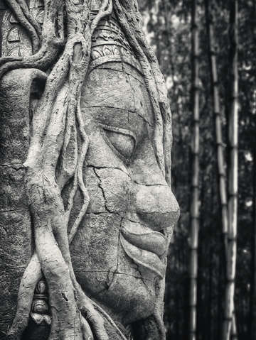Ancient buddha stone head
