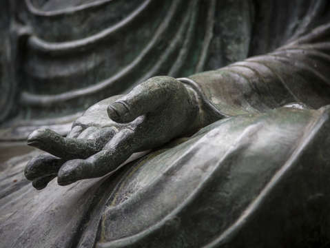 Hand of buddha japanese tea garden