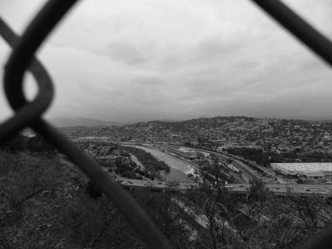 Fence view