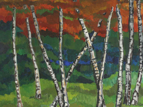 Birches 3