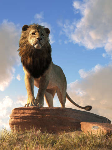 Lion king of beasts