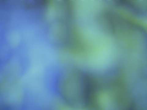 Nebula 1969