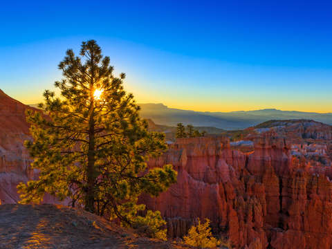 Bryce canon national park sunrise point