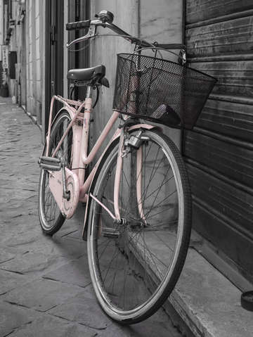 Pink bicycle rome italy