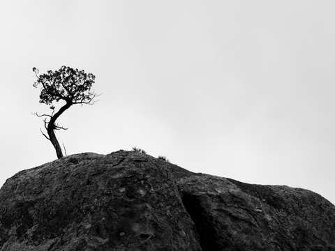 Solitude