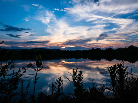 Sunset silhouettes