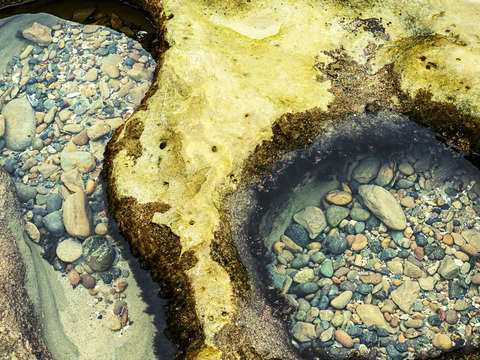Natures jewels 1