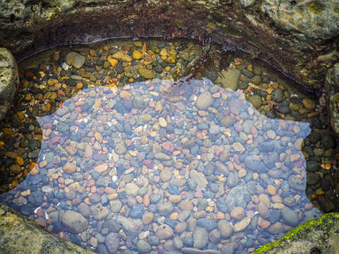 Natures jewels 2