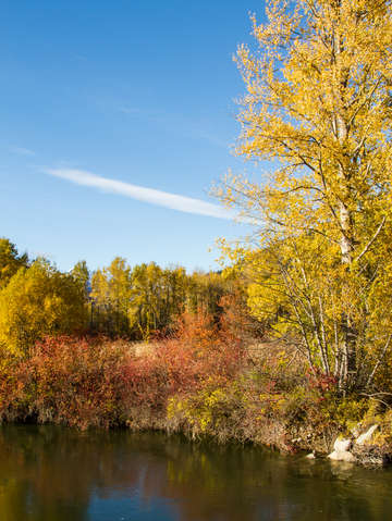 Creekside colors