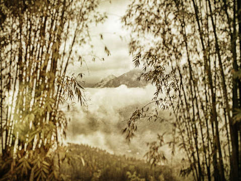 Mountains through bamboo