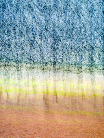 Blue trees