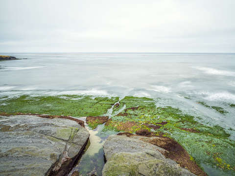 Green inbetween
