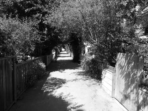 Venice sidewalk