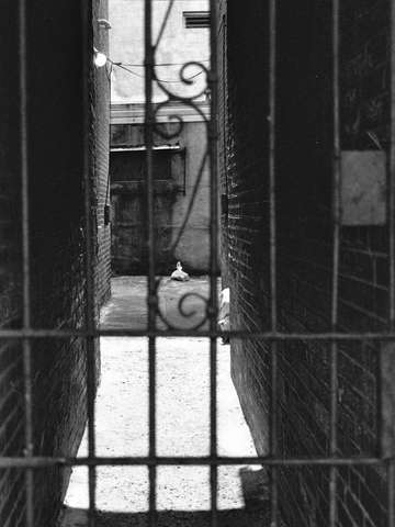 Alleyway