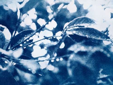 After-rain