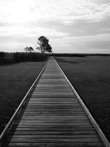 Bodie island outer banks nc