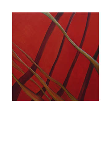Red lines 00643 a 2
