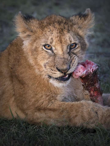 Snack time