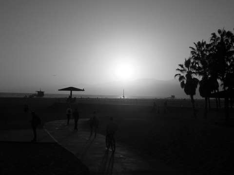 Venice beach sunset