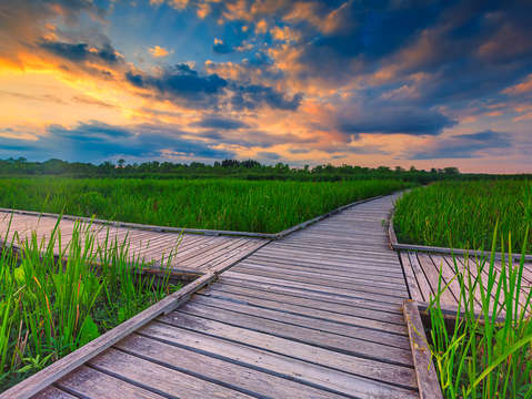 Crossing paths