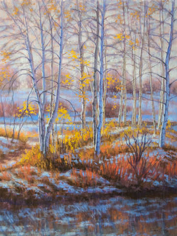 Birches in first snow 4