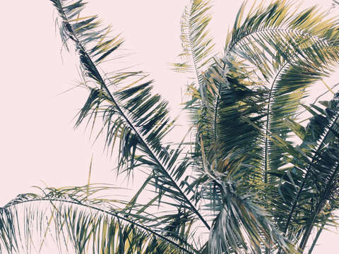 Winds of change 1