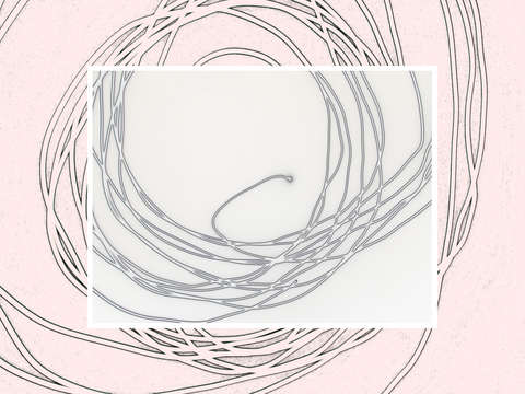 Rose curl 7810