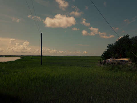 Low country morning